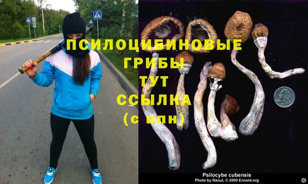 мефедрон Ельня