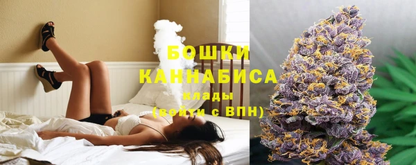 тгк Елизово