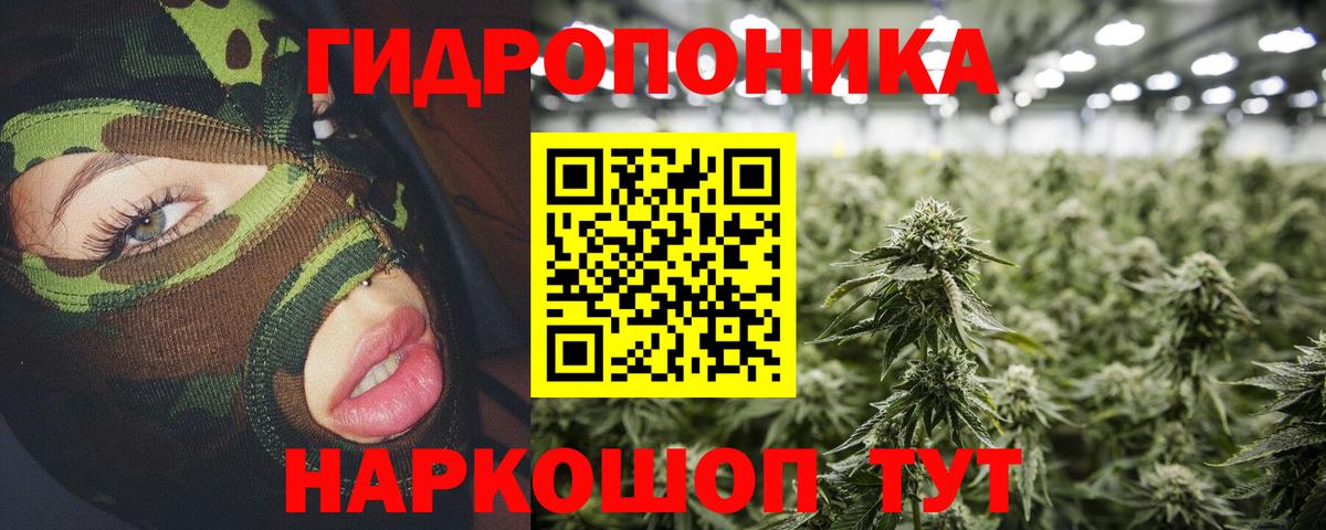 Шишки марихуана MAZAR  Бошки марихуана White Widow  Бошки марихуана план  Вход с VPN  Шишки марихуана OG Kush  Дятьково 