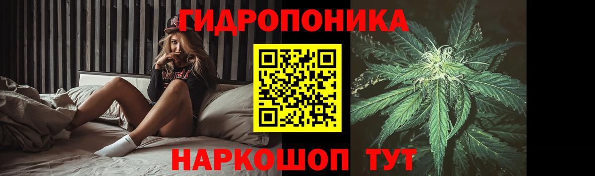 Бошки марихуана марихуана Дятьково